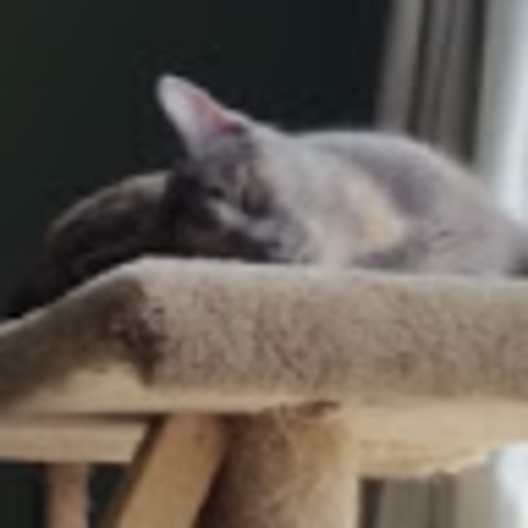 Meet your Posher, Saarah - Picture 1 of 1